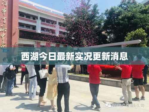 西湖今日最新实况更新消息