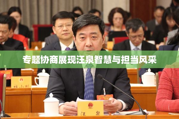 专题协商展现汪泉智慧与担当风采