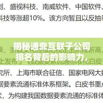 揭秘通鼎互联子公司排名背后的影响力，行业地位深度解析