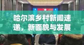 哈尔滨乡村新闻速递,新面貌与发展活力展现