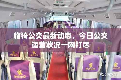 临猗公交最新动态,今日公交运营状况一网打尽