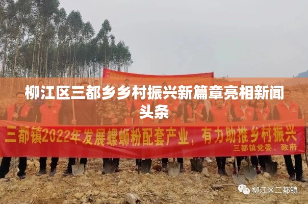 柳江区三都乡乡村振兴新篇章亮相新闻头条
