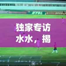 独家专访水水，揭秘背后的故事与不为人知的秘密