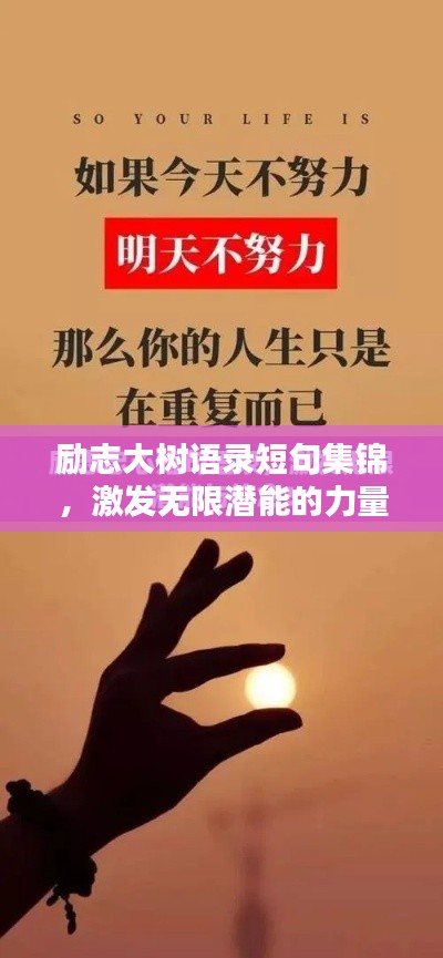 励志大树语录短句集锦,激发无限潜能的力量之语