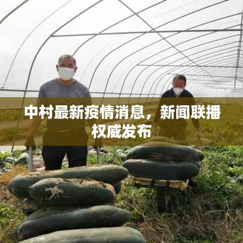 中村最新疫情消息,新闻联播权威发布