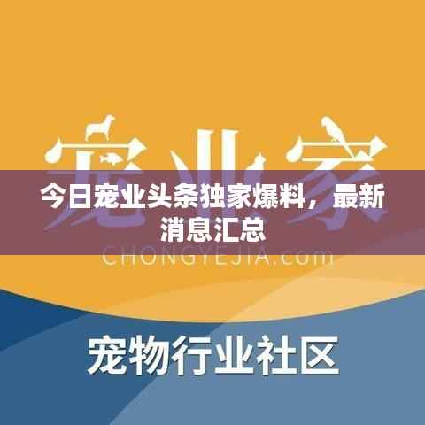 今日宠业头条独家爆料,最新消息汇总