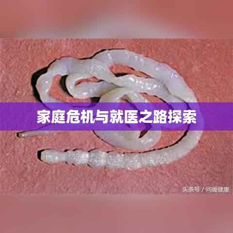 家庭危机与就医之路探索