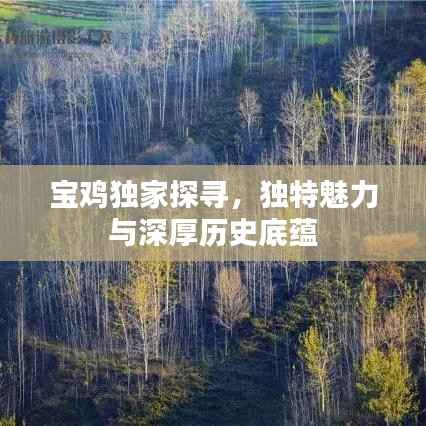 宝鸡独家探寻,独特魅力与深厚历史底蕴