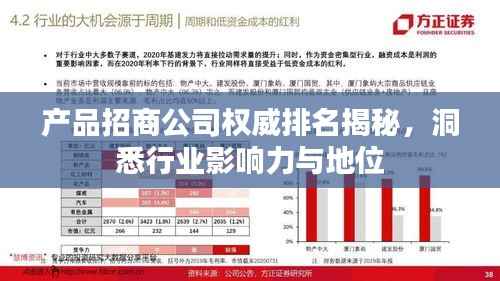 产品招商公司权威排名揭秘,洞悉行业影响力与地位
