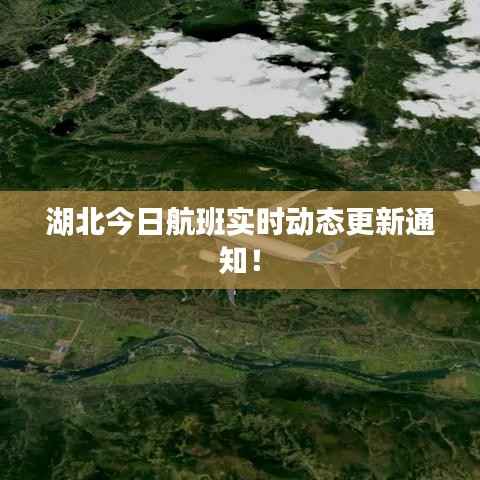 蛙鸣鼓吹 第2页