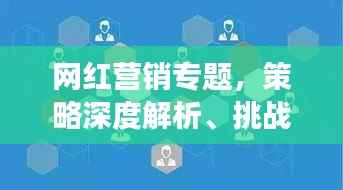 网红营销专题,策略深度解析、挑战应对及未来趋势展望