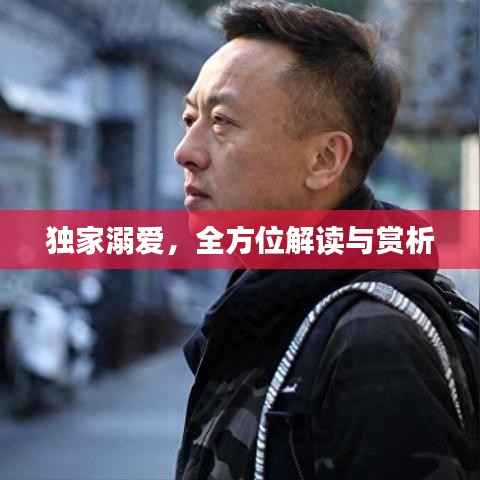 独家溺爱,全方位解读与赏析