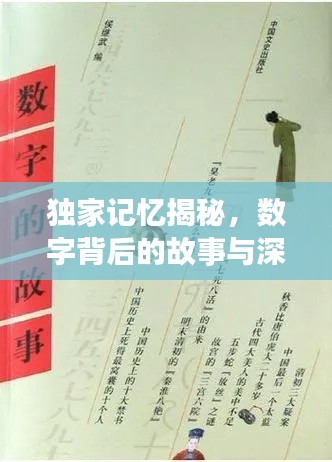 独家记忆揭秘,数字背后的故事与深意探寻
