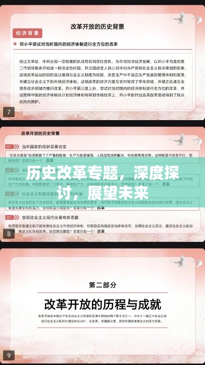 历史改革专题,深度探讨,展望未来