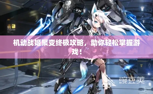 机动战姬聚变终极攻略,助你轻松掌握游戏!