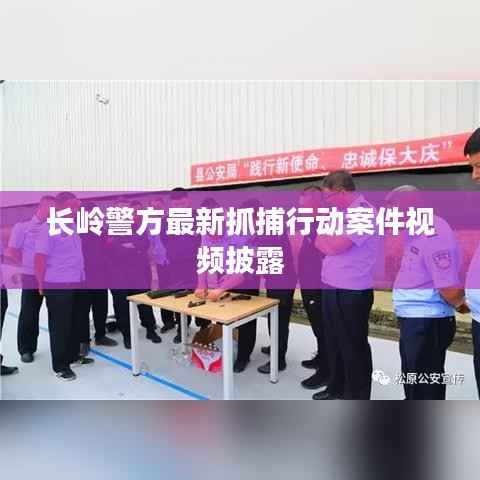 长岭警方最新抓捕行动案件视频披露