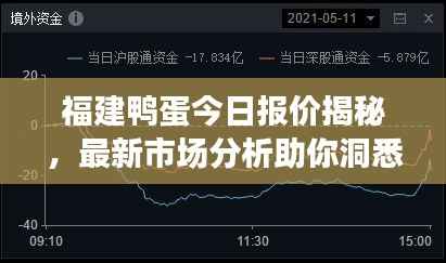 福建鸭蛋今日报价揭秘，最新市场分析助你洞悉行情！