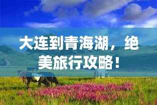 大连到青海湖，绝美旅行攻略！