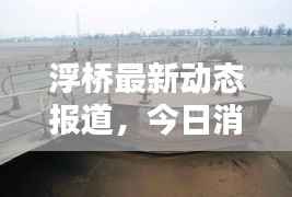 浮桥最新动态报道，今日消息更新速递