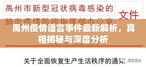 禹州疫情谣言事件最新解析,真相揭秘与深度分析