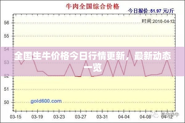 全国生牛价格今日行情更新,最新动态一览