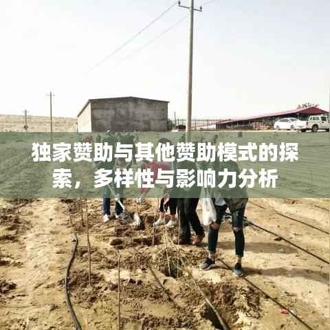 独家赞助与其他赞助模式的探索,多样性与影响力分析