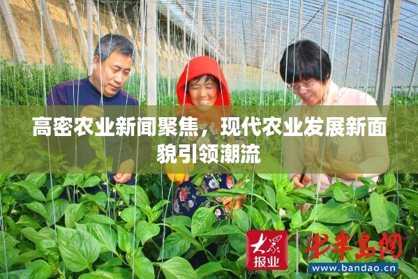 高密农业新闻聚焦,现代农业发展新面貌引领潮流