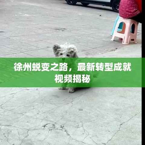 徐州蜕变之路,最新转型成就视频揭秘