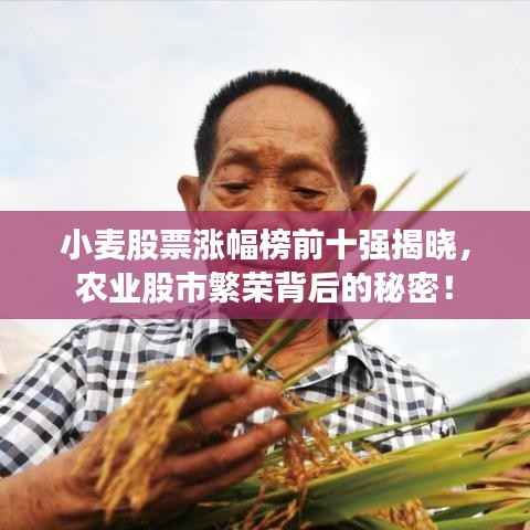 小麦股票涨幅榜前十强揭晓，农业股市繁荣背后的秘密！