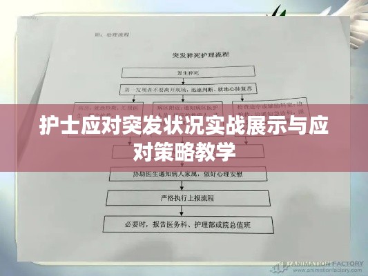 护士应对突发状况实战展示与应对策略教学