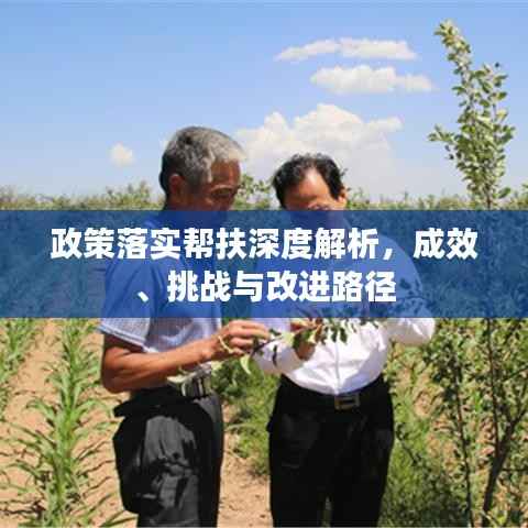 政策落实帮扶深度解析,成效、挑战与改进路径