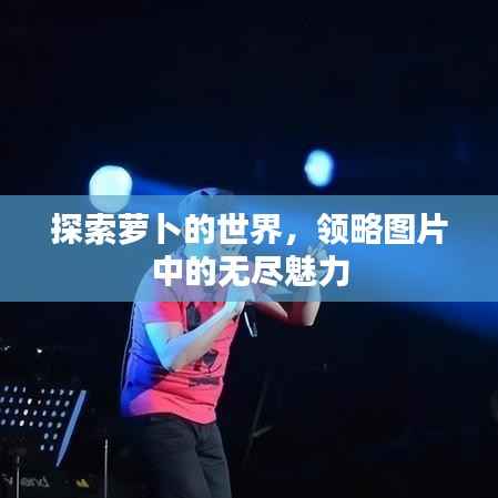 天荒地老 第2页