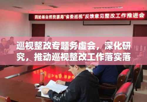 巡视整改专题务虚会,深化研究,推动巡视整改工作落实落地