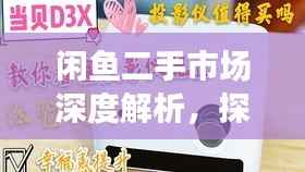闲鱼二手市场深度解析,探索无限商机与潜力