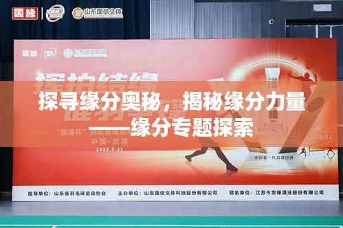 探寻缘分奥秘,揭秘缘分力量——缘分专题探索