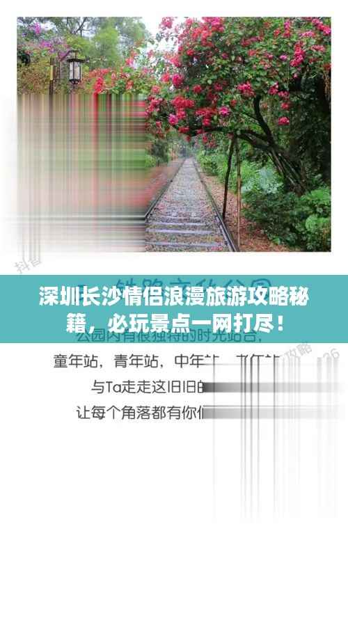 虫蚀鸟步 第2页